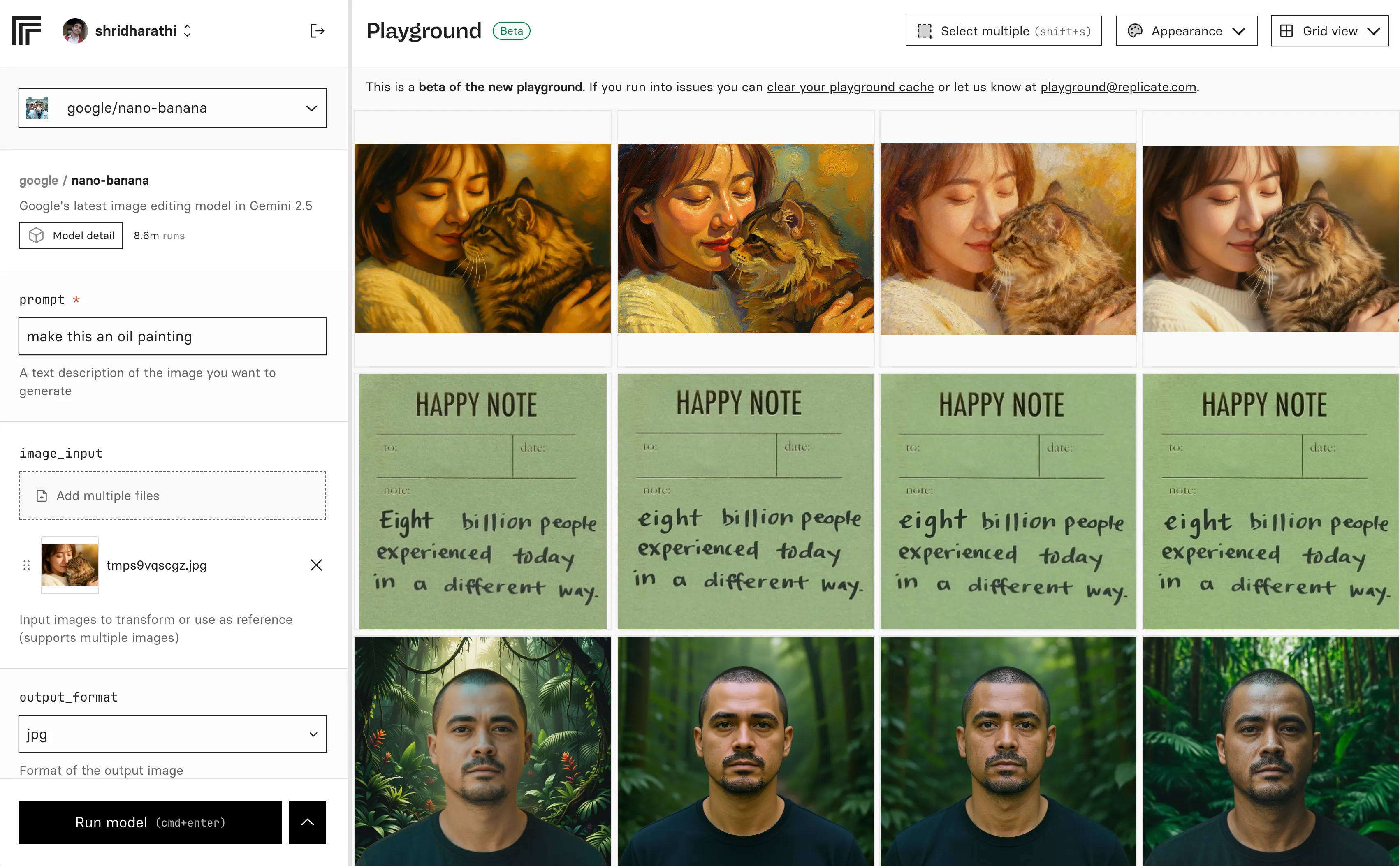 Replicate playground showing image editing models